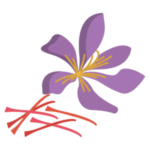 Saffron (জাফরান)